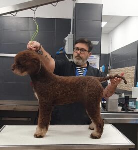 Casabona - Allevamento Lagotto Romagnolo
