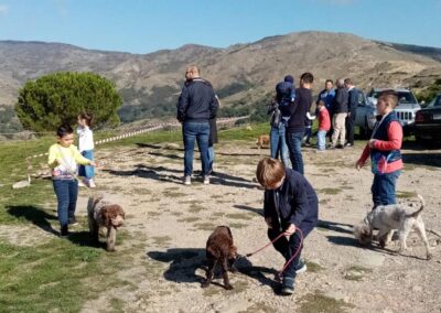 Casabona - Allevamento Lagotto Romagnolo