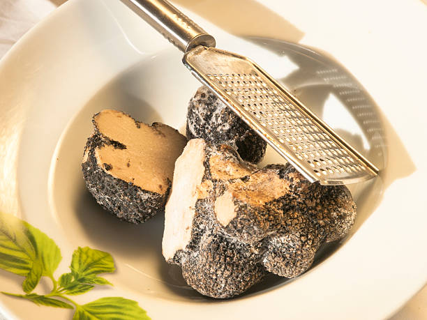Allevamento Dei Casabona – Specialità al tartufo Allevamento Dei Casabona - Specialità al tartufo